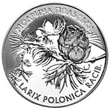 10 hryvnia  coin Larix Polonica Racib | Ukraine 2001
